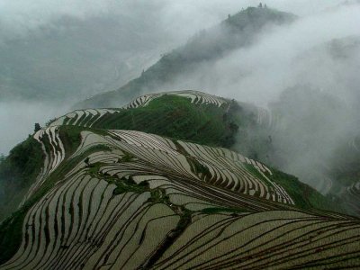 chinese terrace farming