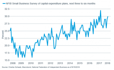 Small Business Capital Expenditures