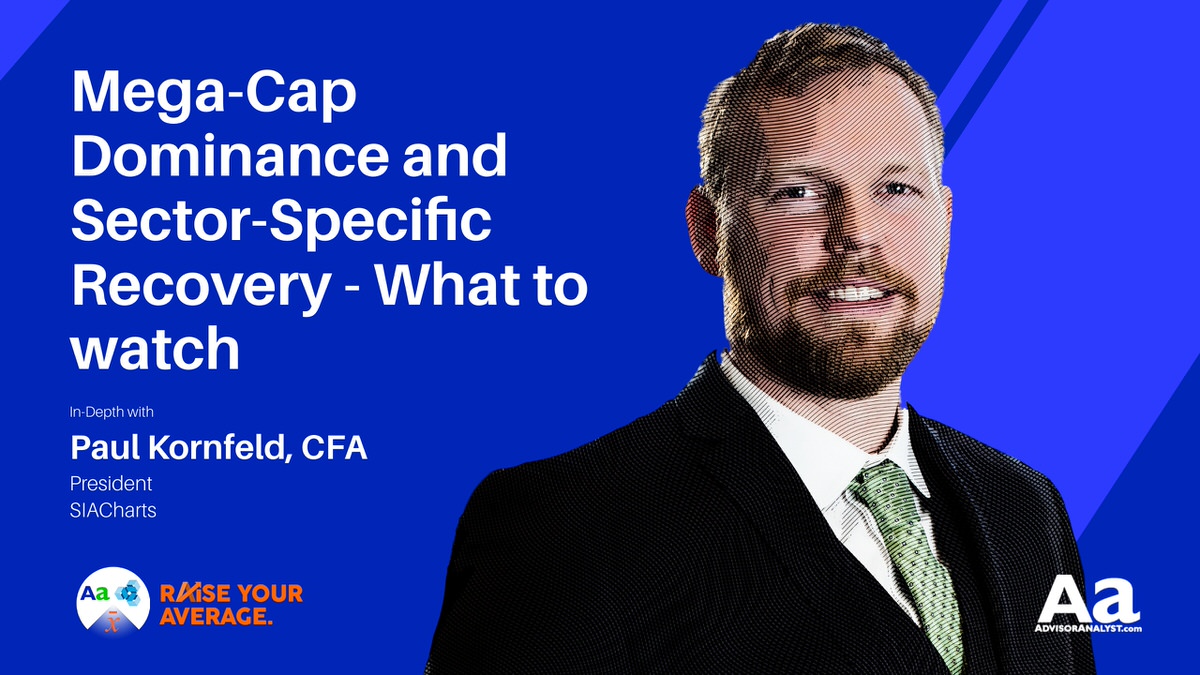 MegaCap Dominance and SectorSpecific Recovery What to watch (Paul