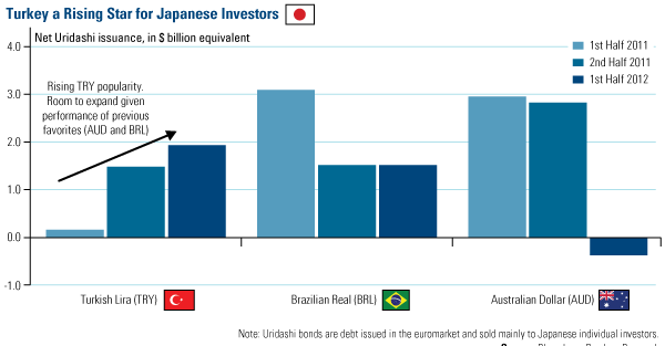 Turkey a rising star for Japanese investors