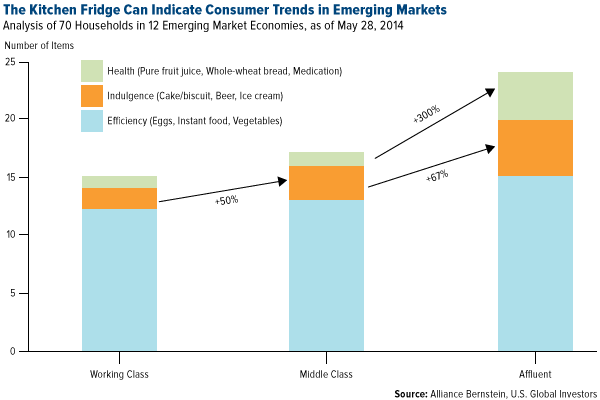 The-Kitchen-Fridge-Can-Indicate-Consumer-Trends-in-Emerging-Markets