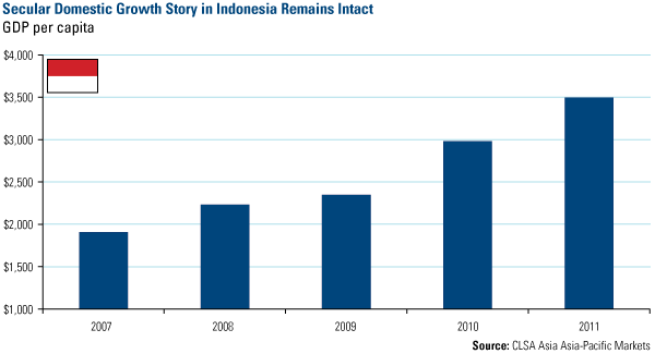 Secular Domestic Growth Story in Indonesia Remains Intact