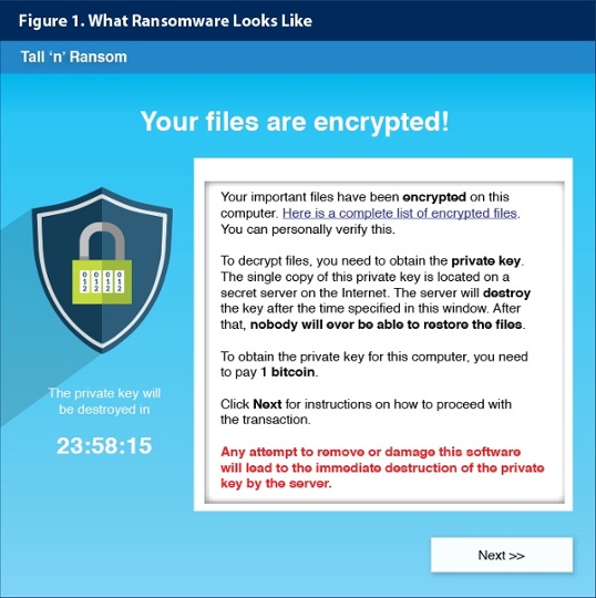 what is ransomware